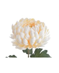 Chryzantema x1 ..73cm..168-24 pcs