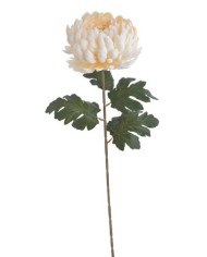 Chryzantema x1 ..73cm..168-24 pcs