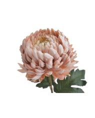 Chryzantema x1 ..73cm..168-24 pcs