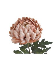 Chryzantema x1 ..73cm..168-24 pcs