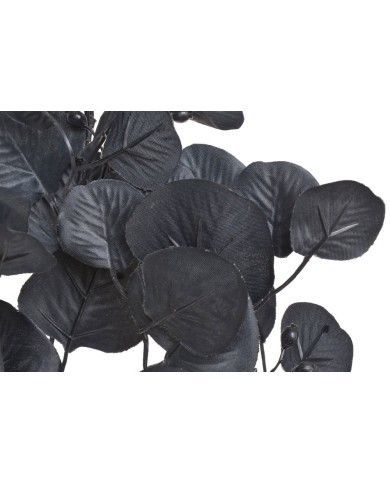 Eukaliptus populus..55cm..240-24 pcs......AU538 BLACK