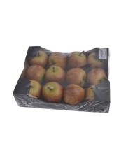 Gałązka iglasta z głogiem..64cm..120-12 pcs......GREEN-BLUE