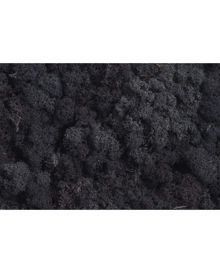 Moss extra 500g - mech reniferowy 1 klasa czystości