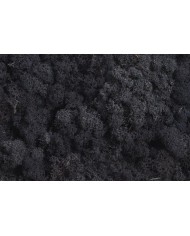 Moss extra 500g - mech reniferowy 1 klasa czystości