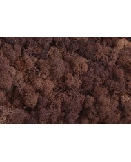 Moss extra 500g - mech reniferowy 1 klasa czystości