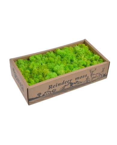 Moss extra 500g - mech reniferowy 1 klasa czystości