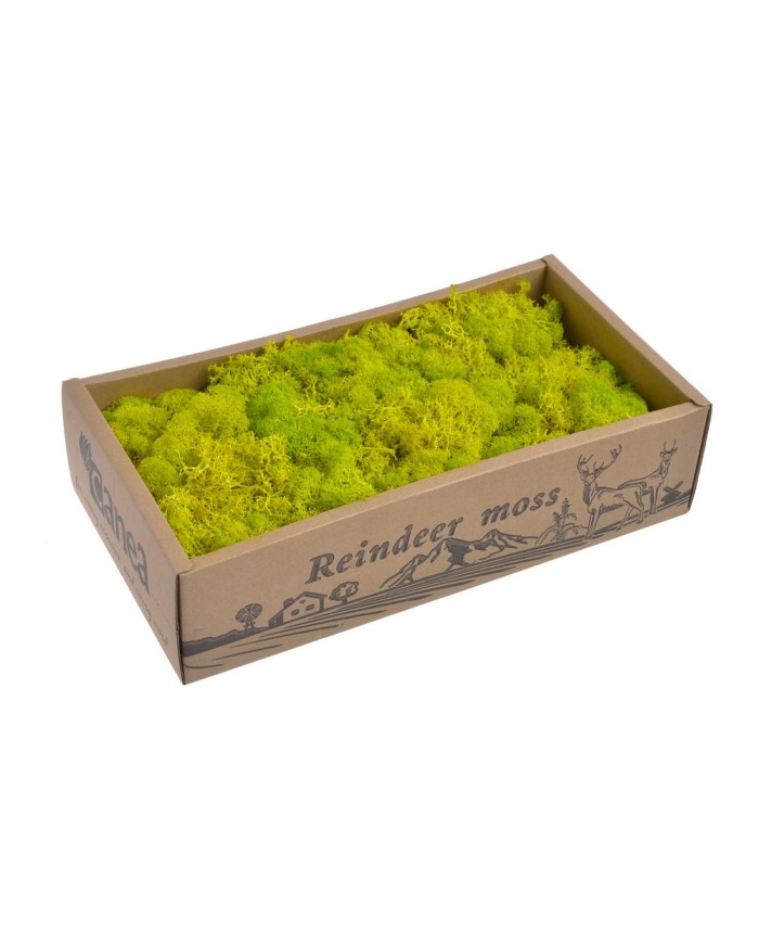 Moss extra 500g - mech reniferowy 1 klasa czystości