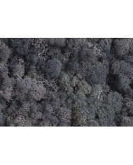 Moss extra 500g - mech reniferowy 1 klasa czystości