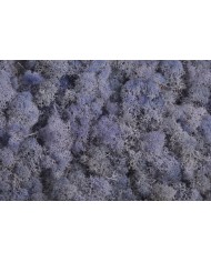 Moss extra 500g - mech reniferowy 1 klasa czystości