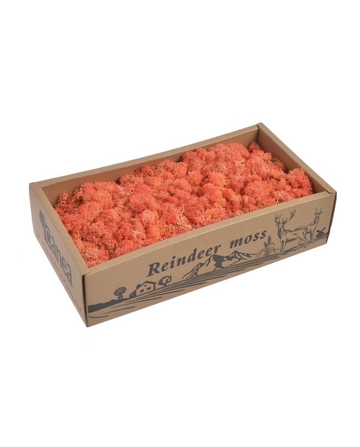 Moss extra 500g - mech reniferowy 1 klasa czystości