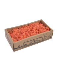 Moss extra 500g - mech reniferowy 1 klasa czystości