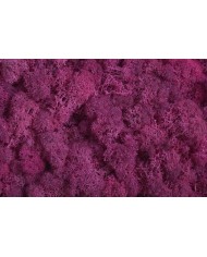 Moss extra 500g - mech reniferowy 1 klasa czystości