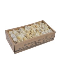 Moss extra 500g - mech reniferowy 1 klasa czystości