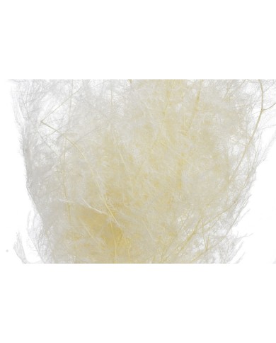 Asparagus 10szt-pacz. -susz 80-150cm WHITE....75-75 bags..10 pcs-bag....WHITE