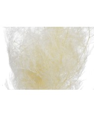 Asparagus 10szt-pacz. -susz 80-150cm WHITE....75-75 bags..10 pcs-bag....WHITE