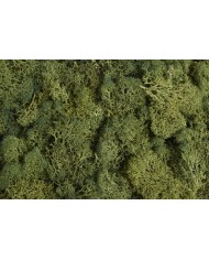 Moss extra 500g - mech reniferowy 1 klasa czystości