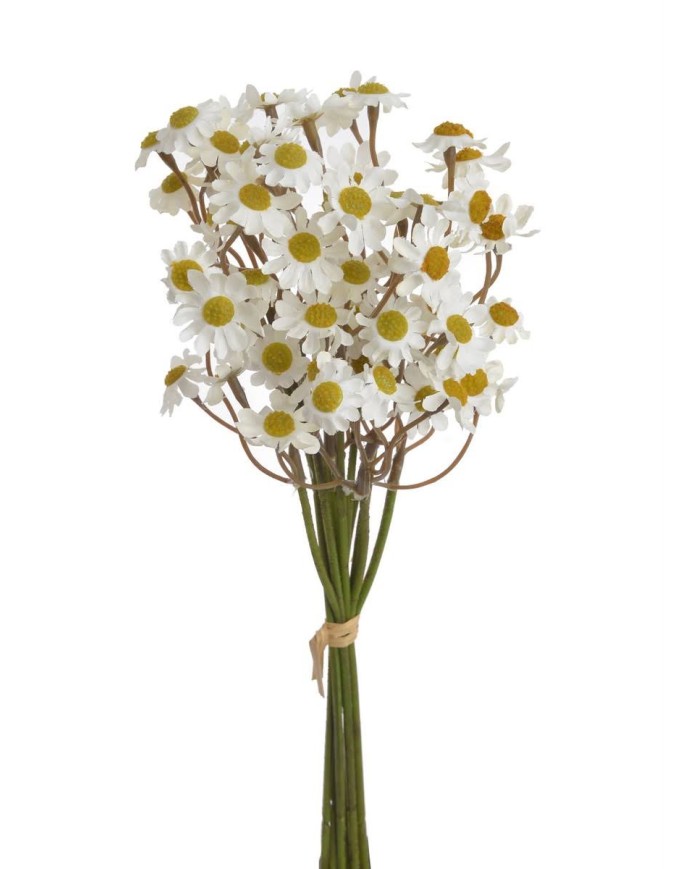 Rumianek 6szt-pęcz. ..26cm..288-24 bu..6 pcs-bu