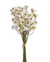 Rumianek 6szt-pęcz. ..26cm..288-24 bu..6 pcs-bu