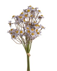 Rumianek 6szt-pęcz. ..26cm..288-24 bu..6 pcs-bu