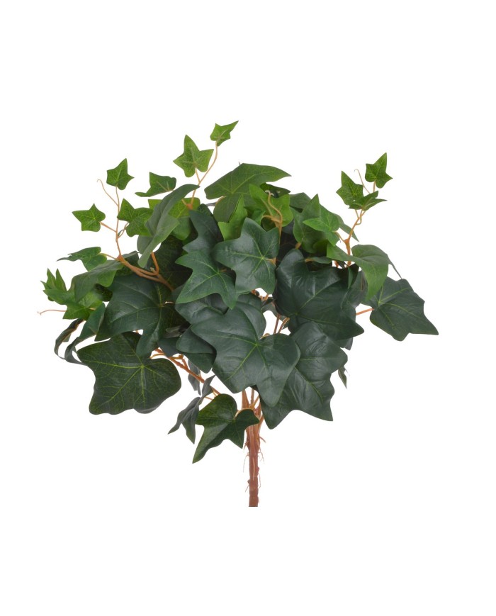 Krzew bluszczu ..45cm..216-36 pcs......GREEN