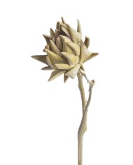 Artichoke bud  NAT -susz.kwiat..+-32cm..200-200 pcs......NATURAL