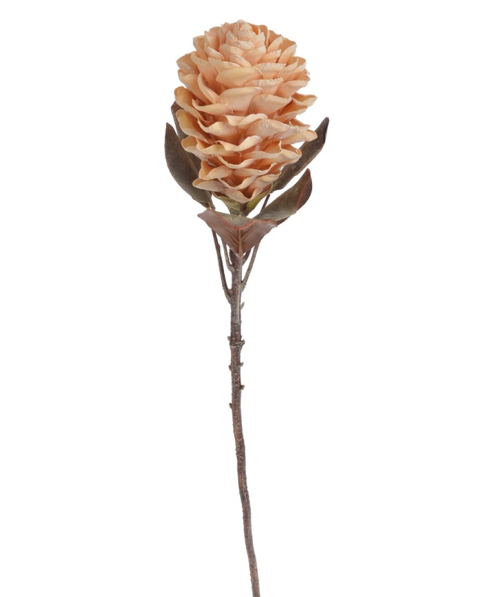 Karczoch x1..72cm..96-16 pcs