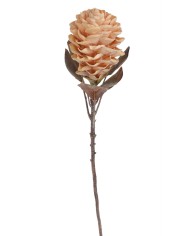 Karczoch x1..72cm..96-16 pcs