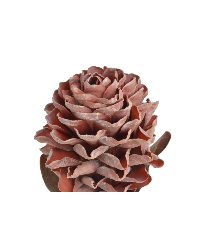 Karczoch x1..72cm..96-16 pcs