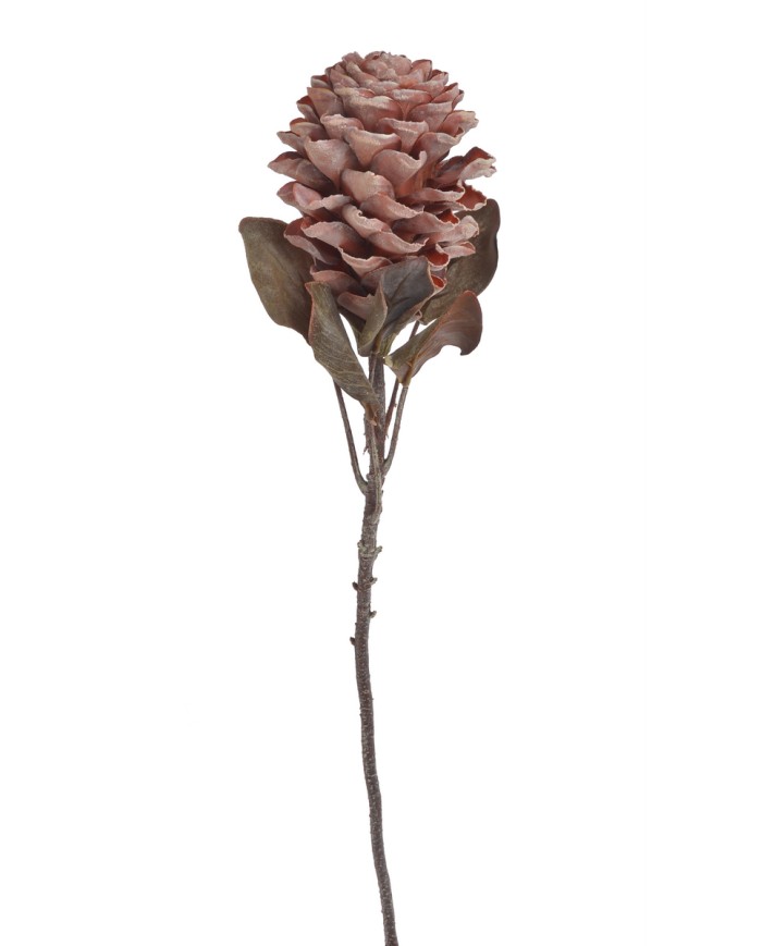 Karczoch x1..72cm..96-16 pcs