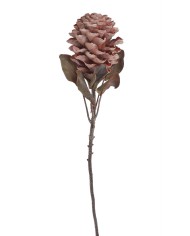 Karczoch x1..72cm..96-16 pcs