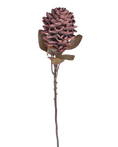 Karczoch x1..72cm..96-16 pcs