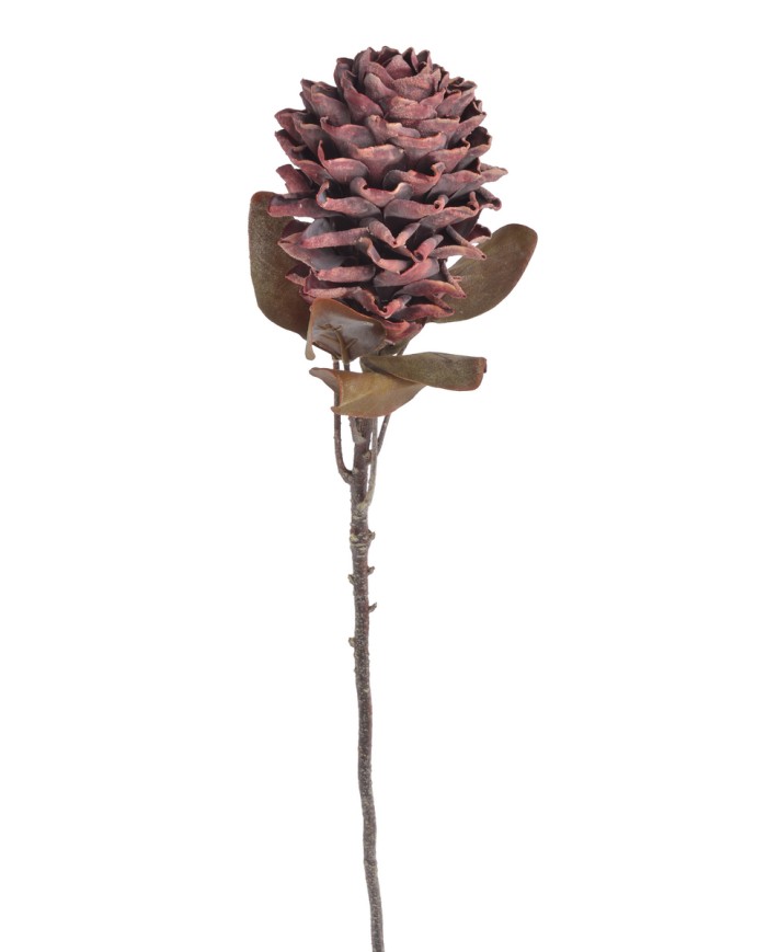 Karczoch x1..72cm..96-16 pcs