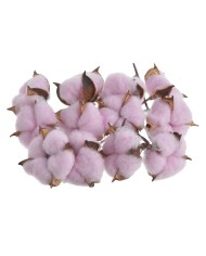 Artichoke bud  NAT -susz.kwiat..+-32cm..200-200 pcs......NATURAL