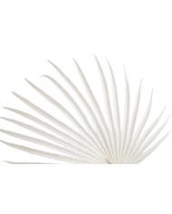 Liść palmy 48cm -sztuczna roślina.....432-24 pcs