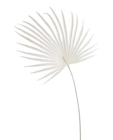 Liść palmy 48cm -sztuczna roślina.....432-24 pcs