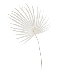 Dzika róża 3sztpęcz...24cm..180-30 bu..3 pcs-bu