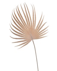 Liść palmy 48cm -sztuczna roślina.....432-24 pcs