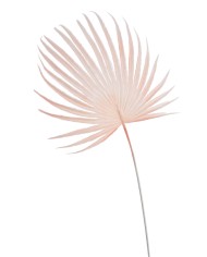 Liść palmy 48cm -sztuczna roślina.....432-24 pcs