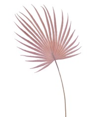 Liść palmy 48cm -sztuczna roślina.....432-24 pcs