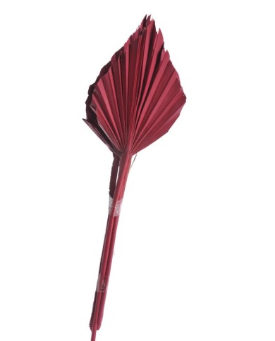 Palm spear duży kol. (pacz. 5szt) RED -susz..ok. 45cmL, główka 16x11cm..80-1 bags..5 pcs-bag....RED