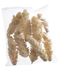 Kuva 30cm, 20szt/pacz - susz WHITE