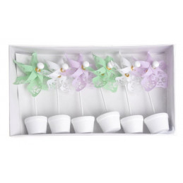 Wiatraczki w doniczkach - zestaw 6 szt.