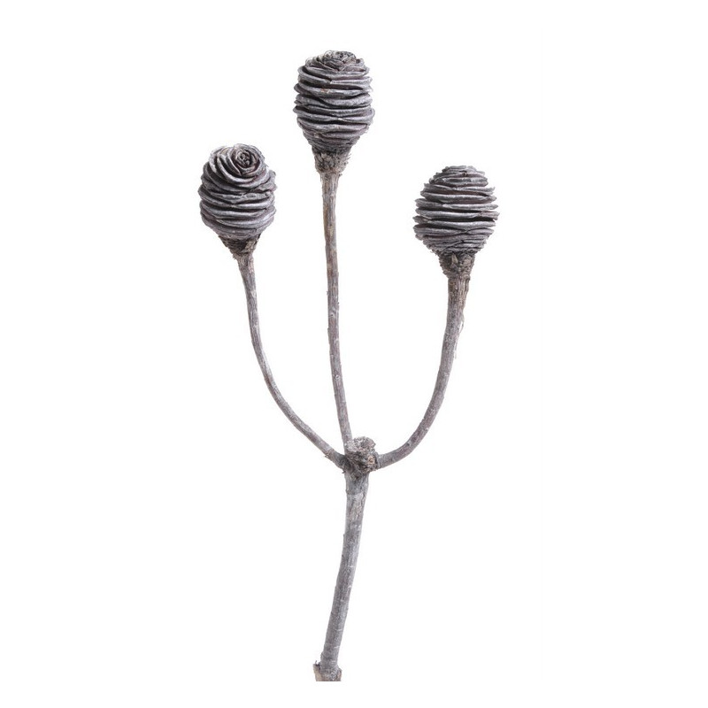 Platyspernum 3 stone washed 40-50 cm ( 3 szt/pacz) - susz