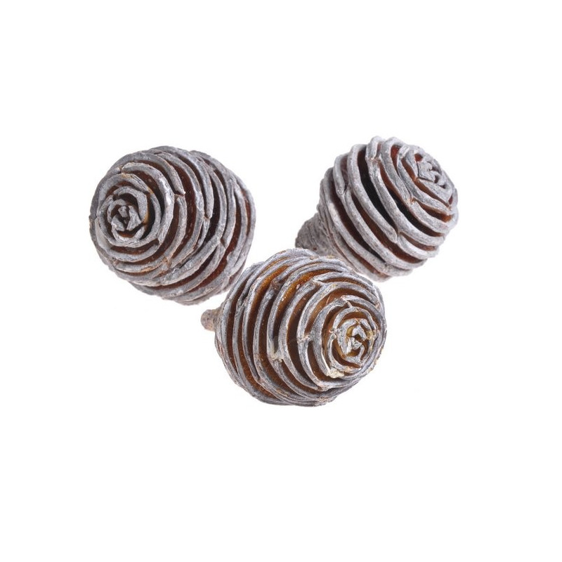 Platyspermum loose stone washed 4-5 cm 200 g - susz