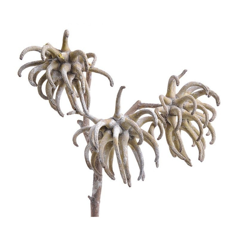 Spidergums claws III stone washed 28-20 cm 3 szt/pacz - susz