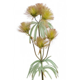 Dmuchawiec olbrzymi 125 cm