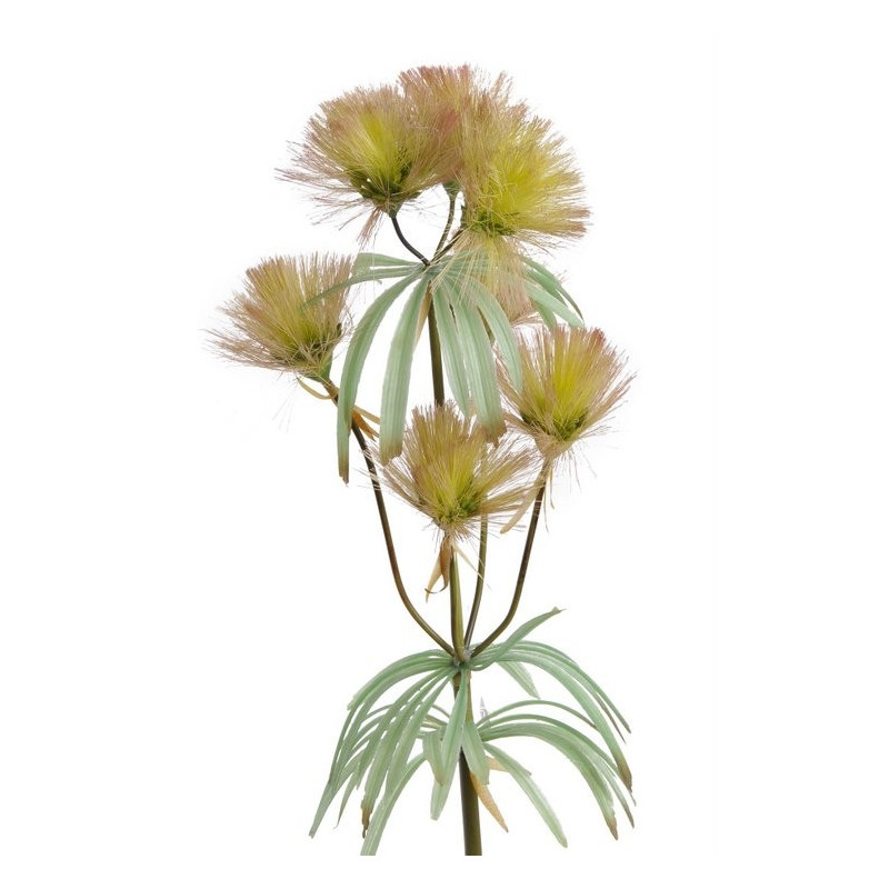 Dmuchawiec olbrzymi 125 cm