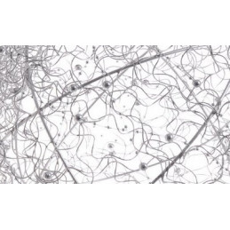 Kula  30 cm  - idealna dekoracja na ślub