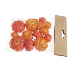 Mini dynie 2,5-5cm, 12szt/pacz