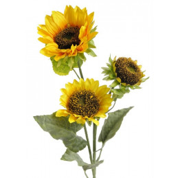 Słonecznik x3, 91cm